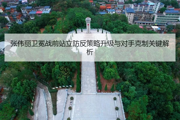 张伟丽卫冕战前站立防反策略升级与对手克制关键解析