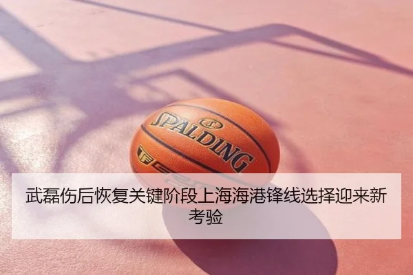 武磊伤后恢复关键阶段上海海港锋线选择迎来新考验