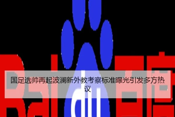 国足选帅再起波澜新外教考察标准曝光引发多方热议
